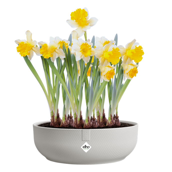 jazz bowl 28cm seidenweiß